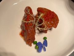 -凤凰湘语(浦东旗舰店)