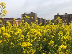 -美兰湖景区