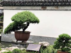 -水绘园