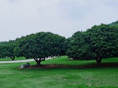 -红花山公园