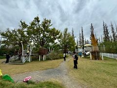 -前小桔亲子创意农场·草莓采摘·露营烧烤