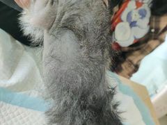 -宠颐生宠物医院·心肾内科·猫专科诊疗中心宠巢店