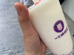 -一只酸奶牛(奎星楼店)