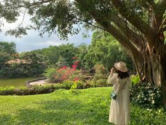 -海南热带野生动植物园