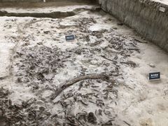 -金沙遗址博物馆