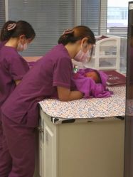 -弗蕾亚·和月月子调理院(东湖店)