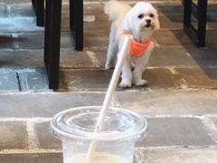 -% Arabica(京都东山店)