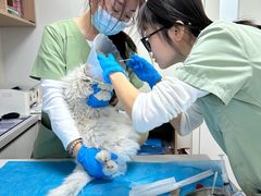 -达爱动物医院·犬猫分区·CT·复杂眼科(远洋山水分院)