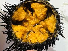 海胆刺身-众想海鲜·烧烤·海肠捞饭·渔家菜(孙家疃店)