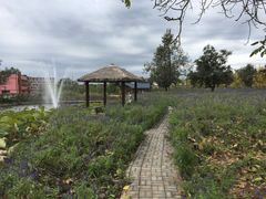 -静之湖湖畔餐厅