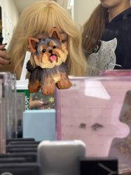 -WAVE SODA摄影工作室