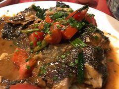 -生态苑农庄(十里画廊遇龙河店)