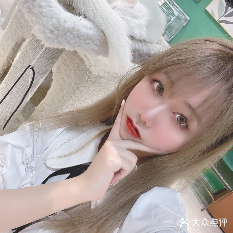 可以撸雪貂的店💘|遇见萌宠2.0