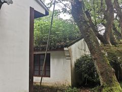 -杭州黄龙洞