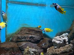 -横店影视城梦幻谷园区