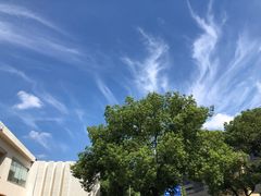 -星巴克(美丽华花园店)