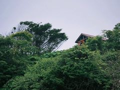 -日本大使馆-新闻文化中心