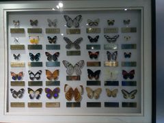 -上海昆虫博物馆