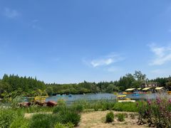 -东平国家森林公园
