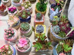 -何兮花店·气球派对鲜花店(马桥银春路万科城店)