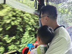 -济州森林小火车生态公园