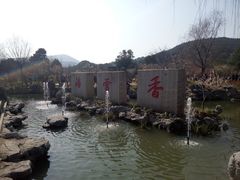 -香雪海