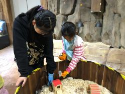 -宝燕乐园(闵行旗舰店)