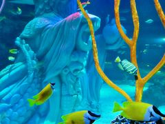 -沈阳海洋探索中心