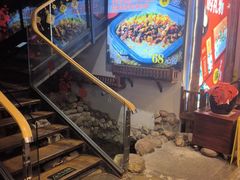 -印象鲵宴·张家界地标美食名片(溪布街店)