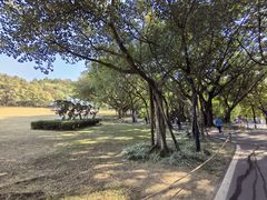 -广州雕塑公园