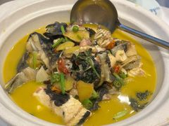 -饭怕鱼·黄焖鲟龙鱼(湖大店)