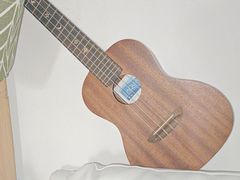 -辛之助-纯女生公寓