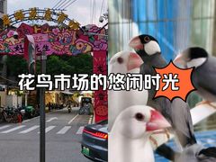 -溪岸路花鸟市场