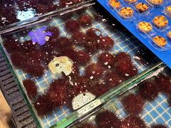 -桃源市场(解放路店)