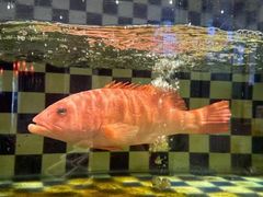 -古韵轩·江浙融合菜(梁溪店)