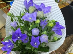 -亭亭鲜花店(中山北路店)