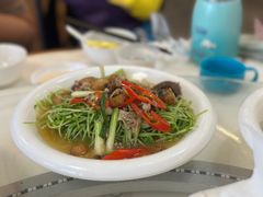 上汤豆苗汤-日日香卤鹅饭店·澄海狮头鹅(澄海店)