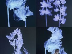 -时代美术馆-成都馆