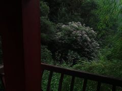 -苍山感通索道