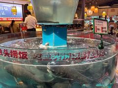 -魏铭鱼头捞饭(晋阳路店)