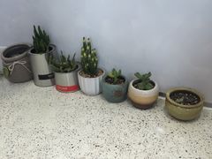 -幸运咖(公园茂直营店)