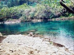 -祁门牯牛降观音堂风景区