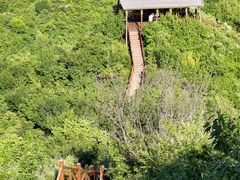 -大岭沟猕猴桃谷风景区