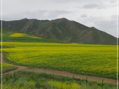 -扁都口生态休闲旅游区