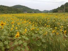 -韩厨缘素海鲜烤肉自助餐厅(遂州中路店)