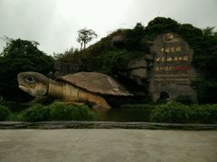 android_upload_pic-湖光岩风景区