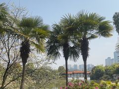 -洛龙公园