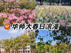 -华南师范大学(广州大学城校区)