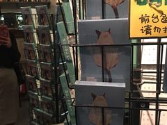 -猫咪博物馆(顶澳仔猫街店)