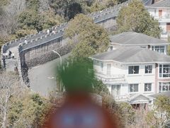 -黄贤森林公园
